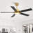 Rolanda 52" 5-inch Downrod Mount Ceiling Fan with Light Kit and Remote Control-1927761638