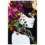 «Purple Rain», reproduction de photo sur verre