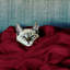 Carsonhill Reversible Mink Faux Fur Plush Fleece Throw/ Blanket-1260395672-1260395684