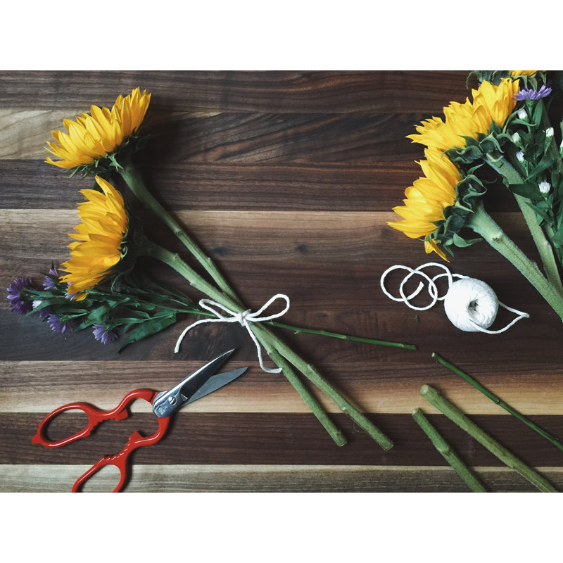 Forged Multi-Purpose Kitchen Shears