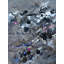 Radiant Print by Elizabeth Chapman-1736646533