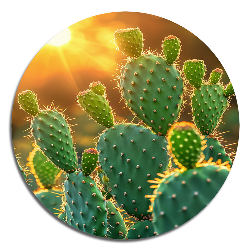 Mariusz - reproduction d'art traditionnelle verte en métal, art mural rond en métal Cactus, H 36 po x l 36 po