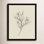 Line Drawn Flowers 1 Print