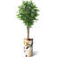 75 plantes-97992049