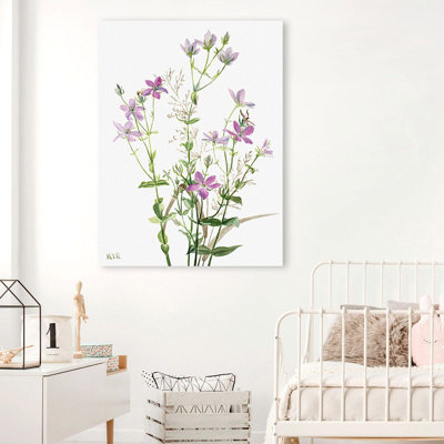 Sabbalia Angularis, 1880 by Mary Vaux Walcott - Art Prints on Canvas