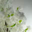 Anivea 150cm Faux Cherry Blossom Tree in Pot-780357777