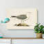 A Common Gull by Von Wright - Wrapped Canvas-55368139