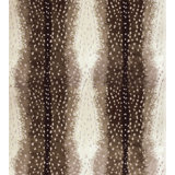 Antelope Fabric