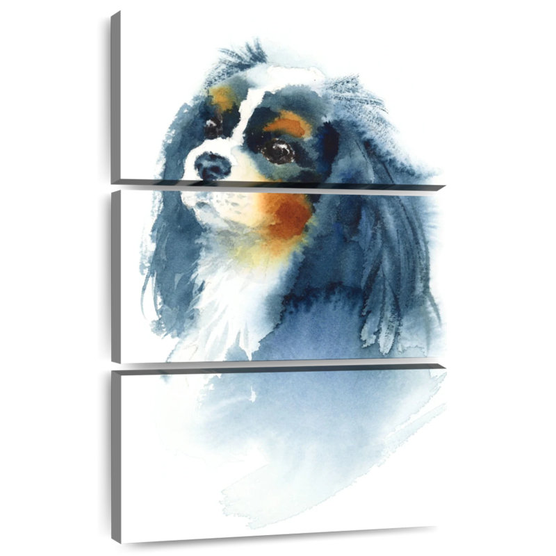 Brampt Cavalier King Charles
