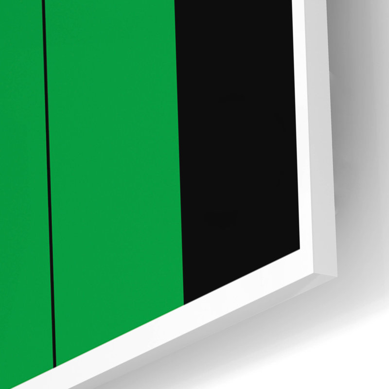 "State Posters NC" par Print Collection, H 24 po x l 16 po