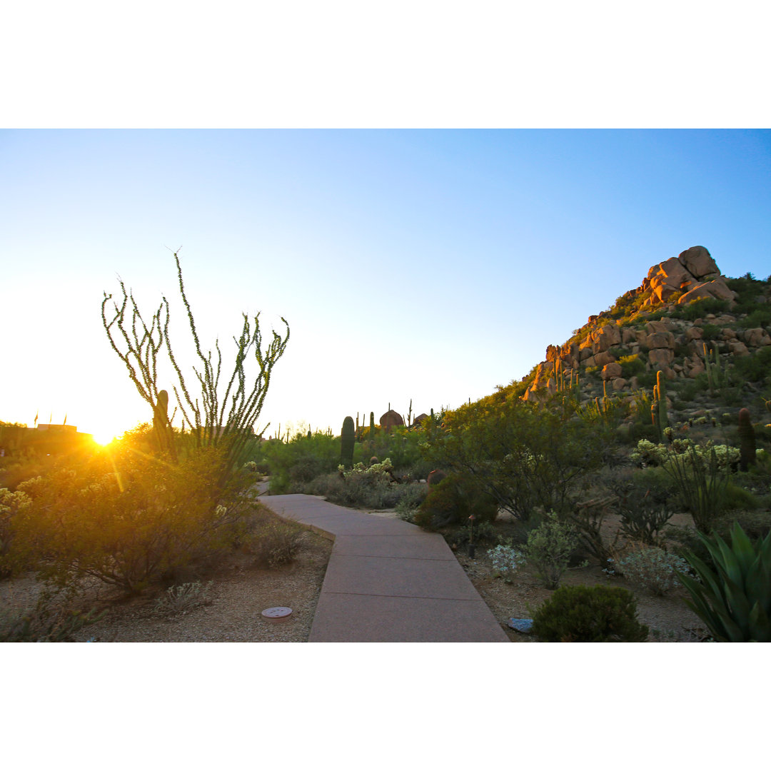 Phoenix Sonnenuntergang Berg