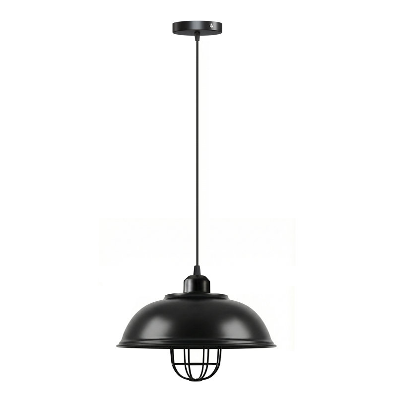 1 - Light Black Caged Pendant, No