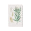 Ensemble de 4 «Earthy Greens in Bloom»-876046556-876046552