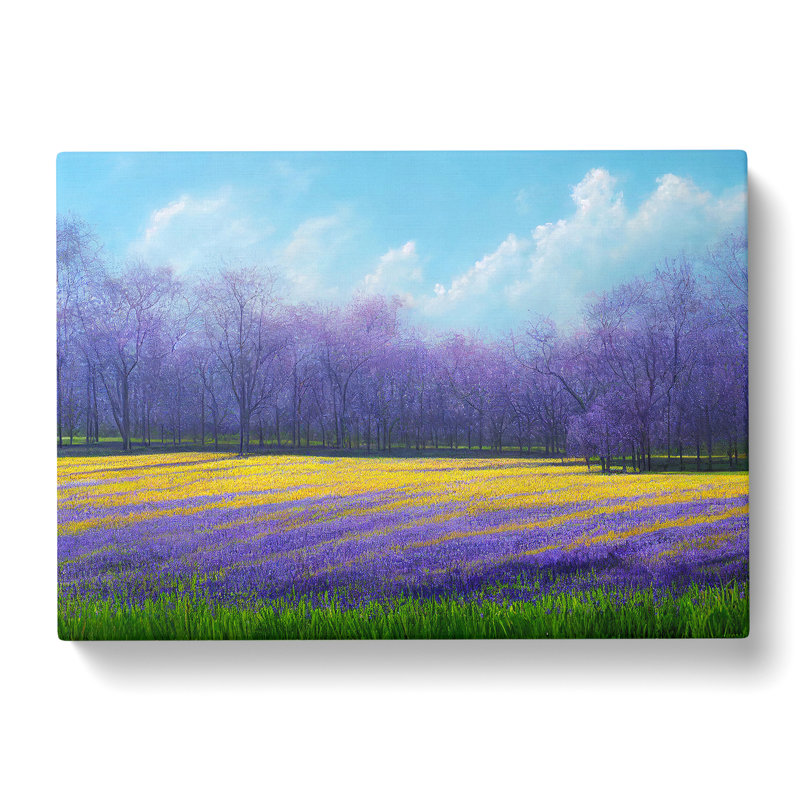 Adorable Bluebell Field - Wrapped Canvas Print, 40cm H x 60cm W x 3cm D