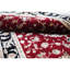 Hand Woven Wool Oriental Area Rug-1682477666