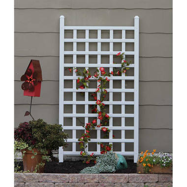 ACHLA Metal Weather Resistant Bracket Plant Stand & Reviews