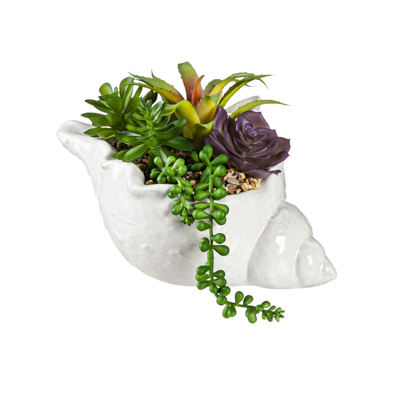 Décoration de table succulente artificielle en céramique conque