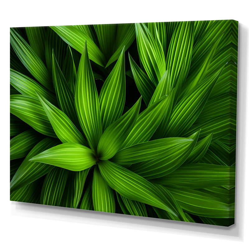 Greenerys Gaze sur impression sur toile, H 34 po x l 44 po x P 1,5 po, Toile tendue