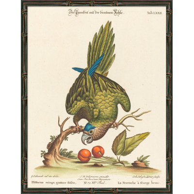 «Green Parrots», reproduction d'impression encadrée