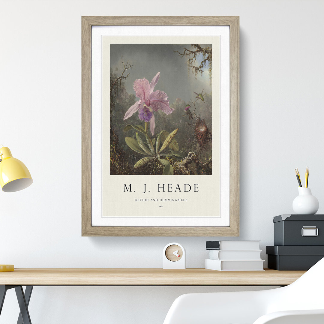 Cattleya Orchid and Hummingbirds by Martin Johnson Heade - Framed Print