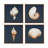 4-Piece Framed Canvas Wall Art Set