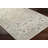 Oriental Indoor Rug-512339746