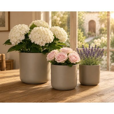 Ensemble de 3 pots à fleurs ronds en céramique matte