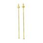 Polished Brass