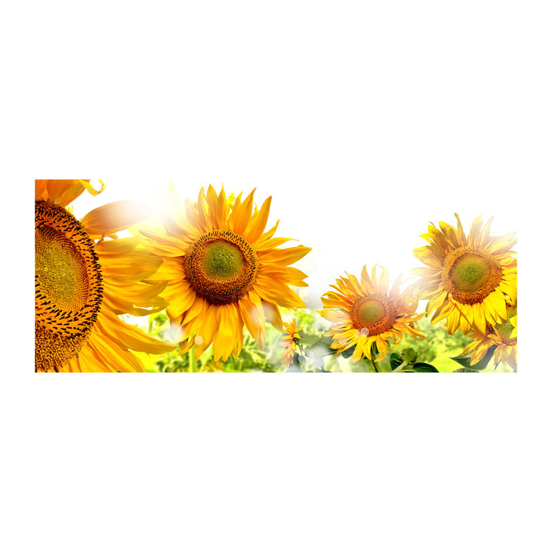 Sunflowers - No Frame Print on Canvas