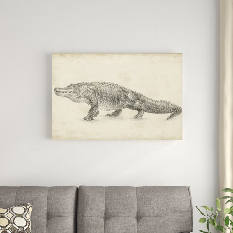 «Alligator S croquis» par Ethan Harper - reproduction de dessin sur toile tendue, H 24 po x l 36 po