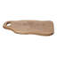 Willow Creek Designs Teak Oblong Cutting Board