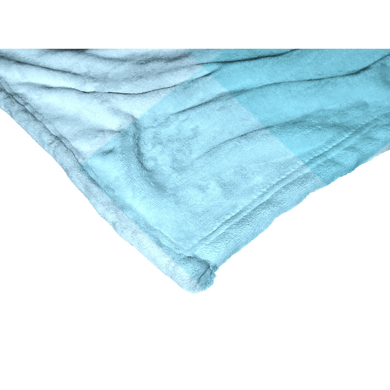 Sanrio Cinnamoroll Daisy Blues Silk Touch Throw Blanket, Soft Pastel Design, 50x60 Inches
