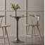 Table de salle à manger Roksana-88233502-88233503