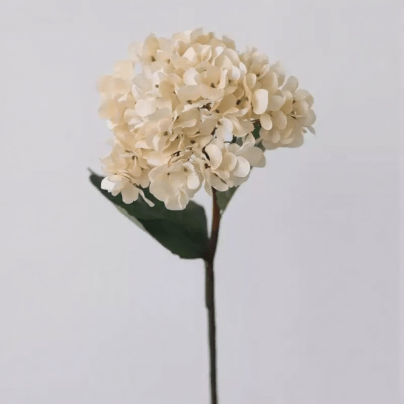 Tige d'hortensia rétro - 25,2 po, Blush Pink, [B] 3 tiges