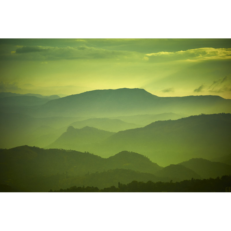 Tea Plantation by Maodesign - Wrapped Canvas Print, 51cm H x 76cm W