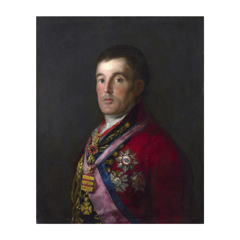 Le duc de Wellington par Francisco de Goya - Estampe numérique, H 20 po x l 16 po