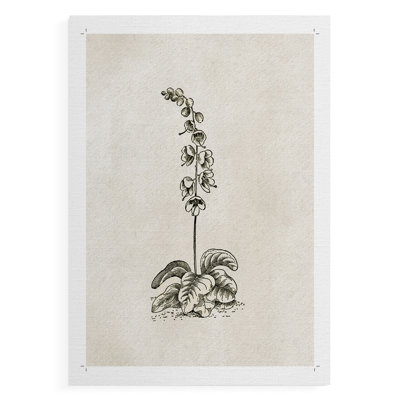 Vintage Floral Print CCCXIX -Canvas Print Only - NOT FRAMED