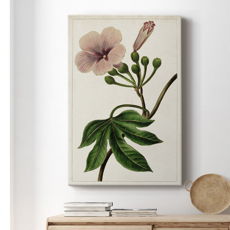 Mauve Botanicals I, toile tendue avec châssis de qualité supérieure - prête à être accrochée, H 18 po x l 12 po x P 1,5 po
