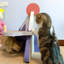 Lit pour chat Novelty