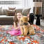Tapis à motif abstrait moderne à poils courts de 5 po x 7 po, antidérapant et antidérapant-2137242933