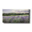 «Lavender Fields» par Lori Deiter, art mural sur toile-388918654