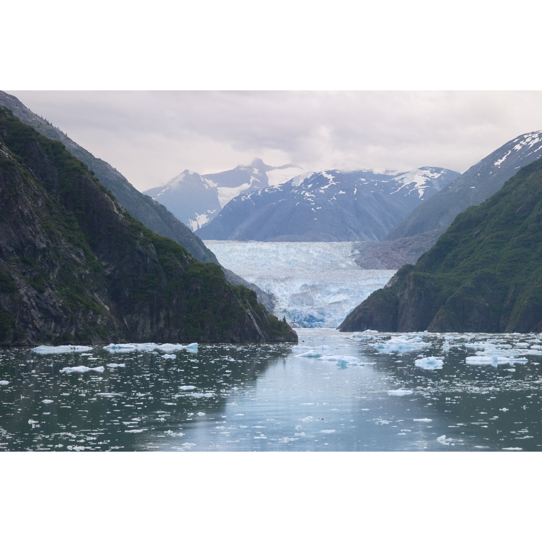 Glacier And Icebergs von Nancy C. Ross - Leinwandbild