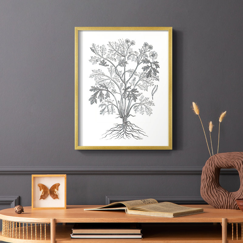 «B&W Plant Spechantillon II», reproduction encadrée - bois massif, H 10 po x l 8 po, Or