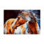 Reproduction de peinture acrylique sur toile tendue Duniya-29766425