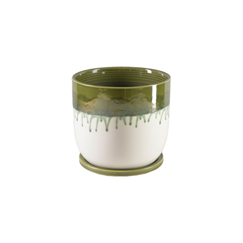 Pot à fleurs en céramique avec soucoupe Matcha de Ebern Designs