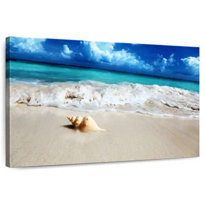 Gillard Seashell On The Shore