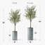 Artificial Tree In Modern Planter, Fake Olive Silk Tree Home Decoration (Plant Pot Plus Tree)-407143820-424482373