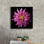 Toile épique Graffiti «Dahlia 5» par Debra Van Swearingen, 18 po x 18 po