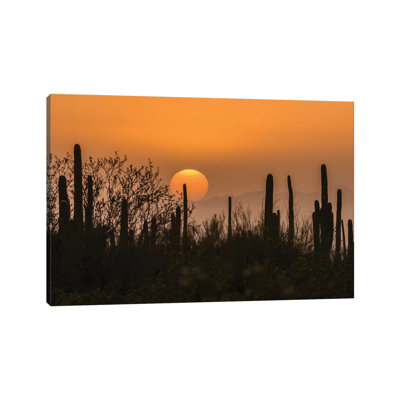 États-Unis, Arizona, parc national de Saguaro. «Saguaro Cactus at Sunset» par Jaynes Gallery - Photographie sur toile tendue