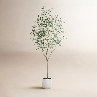 Adagio Faux Ficus Tree with Oval White Planter, Pre Potted Faux Greenry Plant with white side leaves